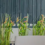 Osetia Garden Hotel