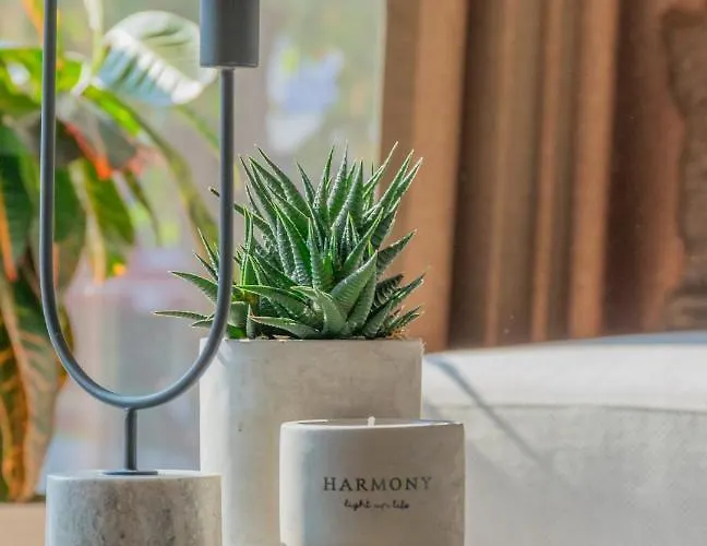 Hotel Osetia Garden *