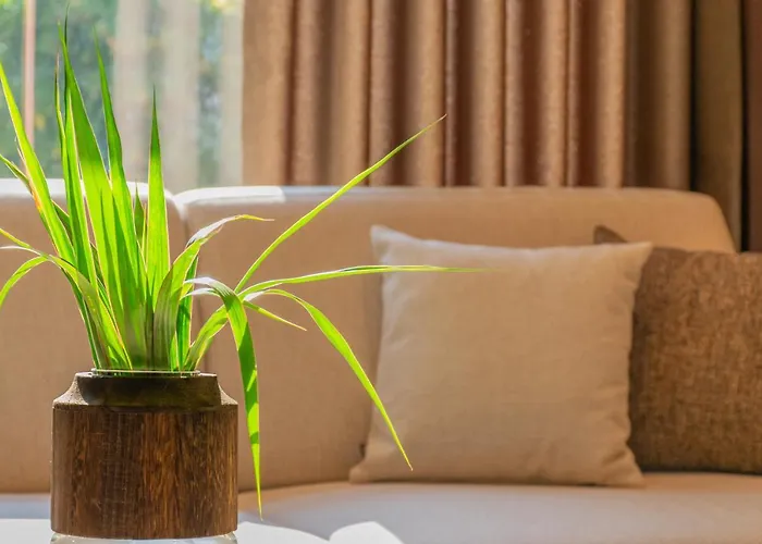 Osetia Garden Hotel *